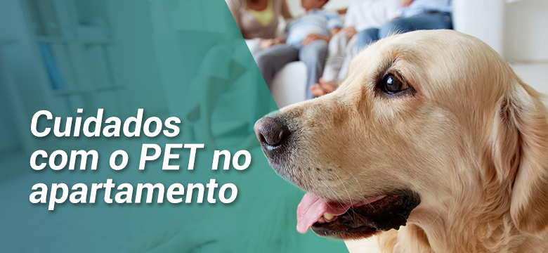 Cuidados com o PET no apartamento