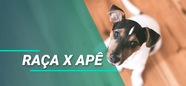 Raça x Apê