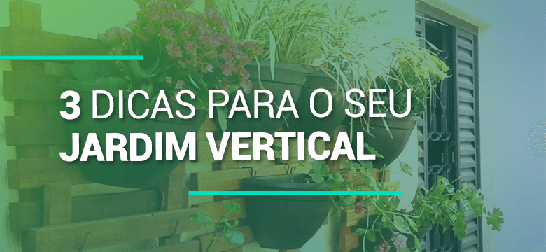 3 dicas para seu jardim vertical