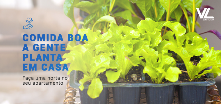 Hortas caseiras: saúde no prato, economia no bolso
